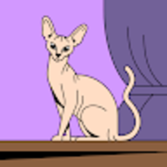 Meet your Posher, Kittybug - Picture 1 of 1